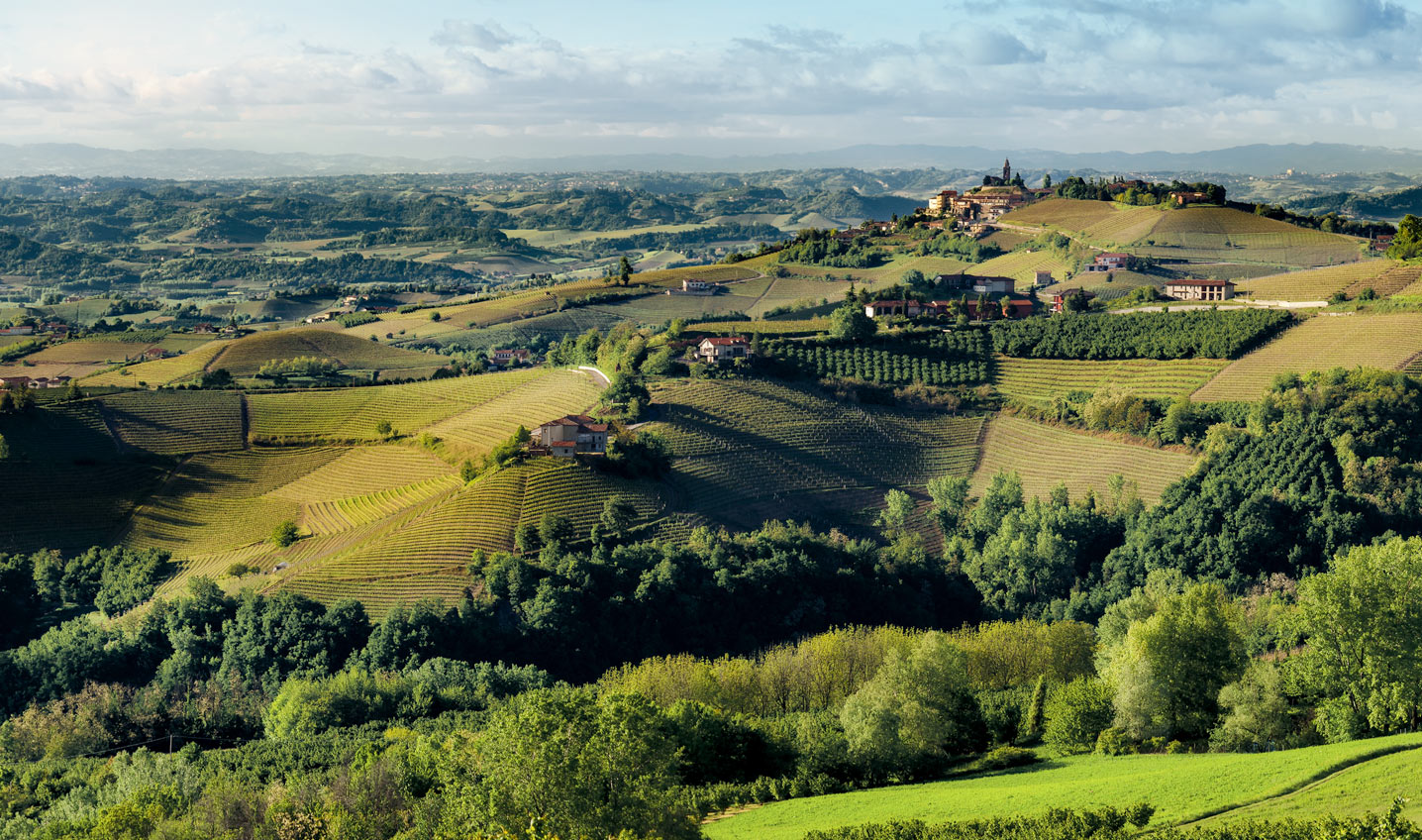 <strong>ITALIA</strong> / <strong>LANGHE</strong>